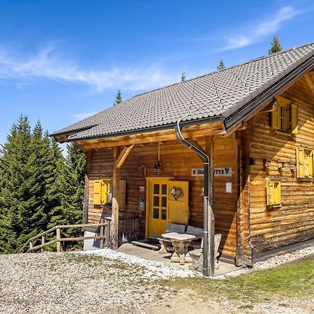 Willa 1A Chalet Enzianhuette - Ski Fahren Und Indoor Sauna Elsenbrunn Zewnętrze zdjęcie