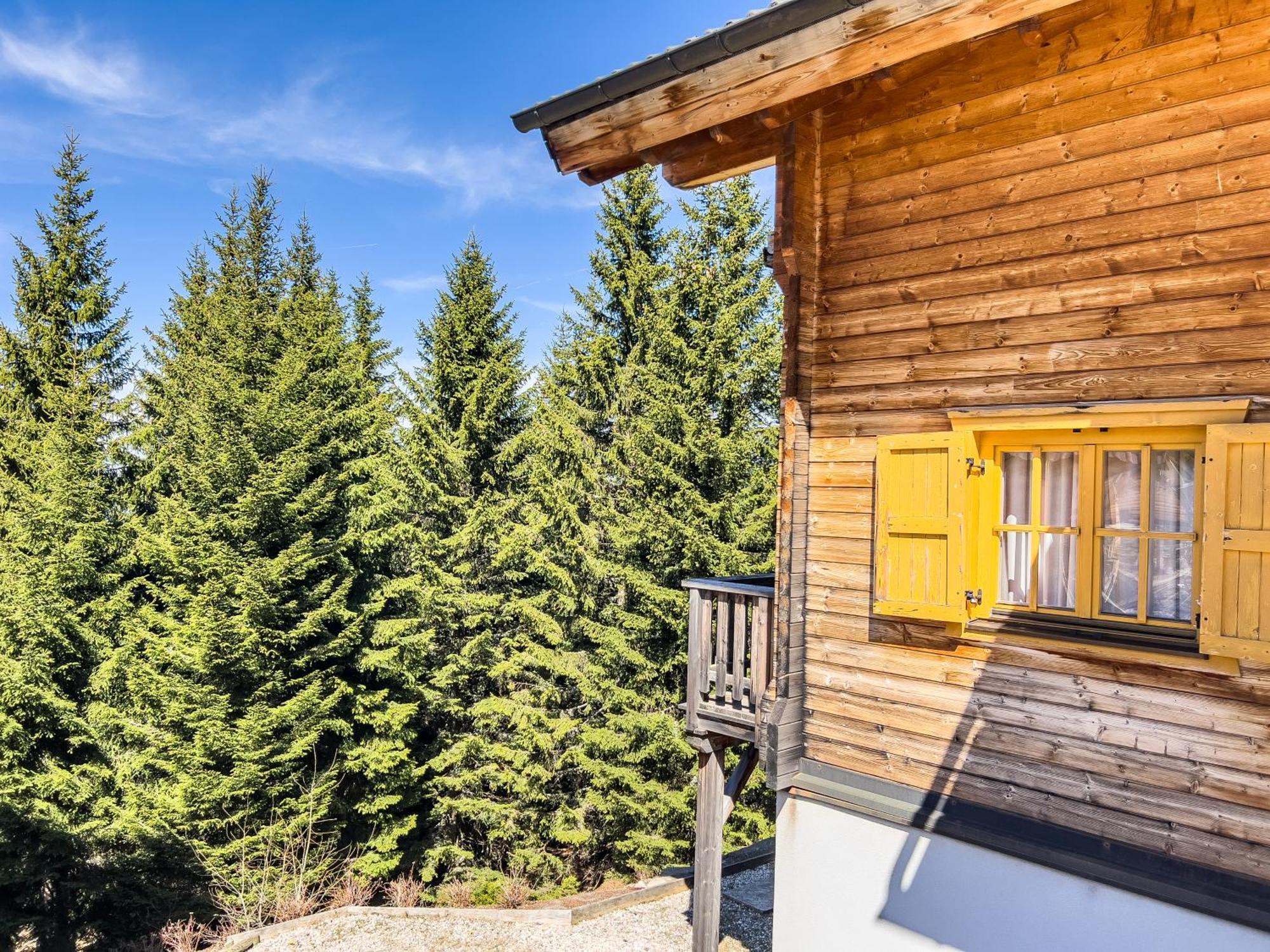 Willa 1A Chalet Enzianhuette - Ski Fahren Und Indoor Sauna Elsenbrunn Zewnętrze zdjęcie