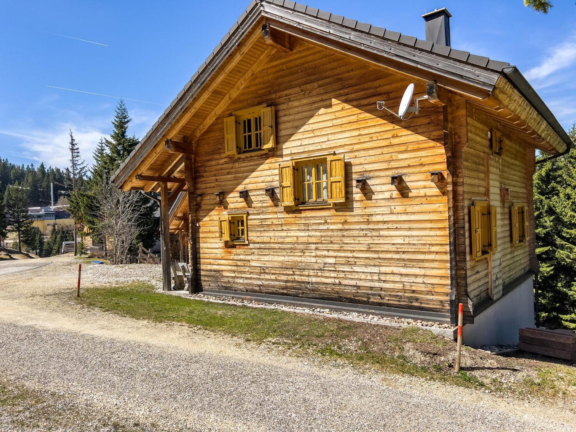 Willa 1A Chalet Enzianhuette - Ski Fahren Und Indoor Sauna Elsenbrunn Zewnętrze zdjęcie