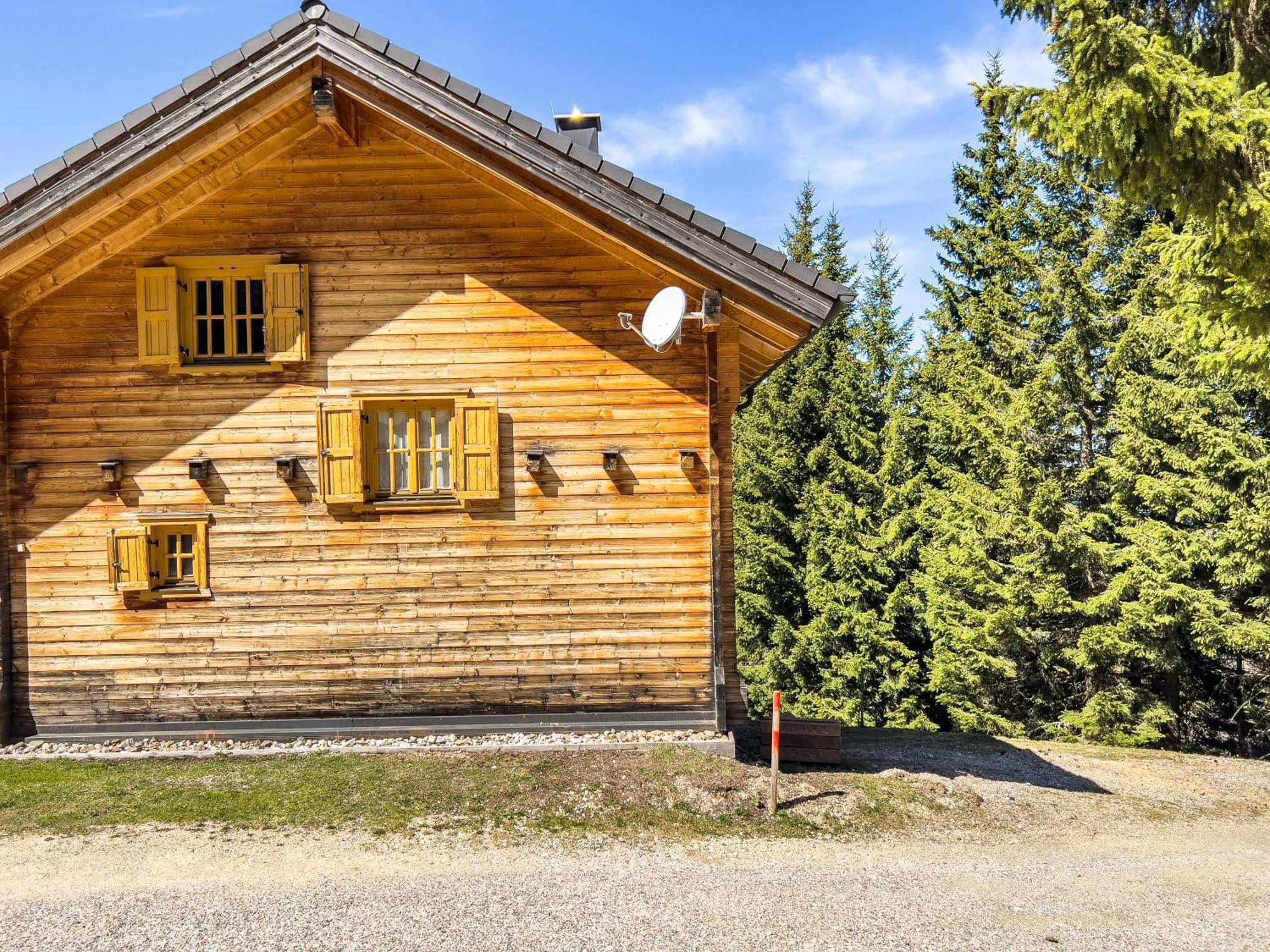 Willa 1A Chalet Enzianhuette - Ski Fahren Und Indoor Sauna Elsenbrunn Zewnętrze zdjęcie