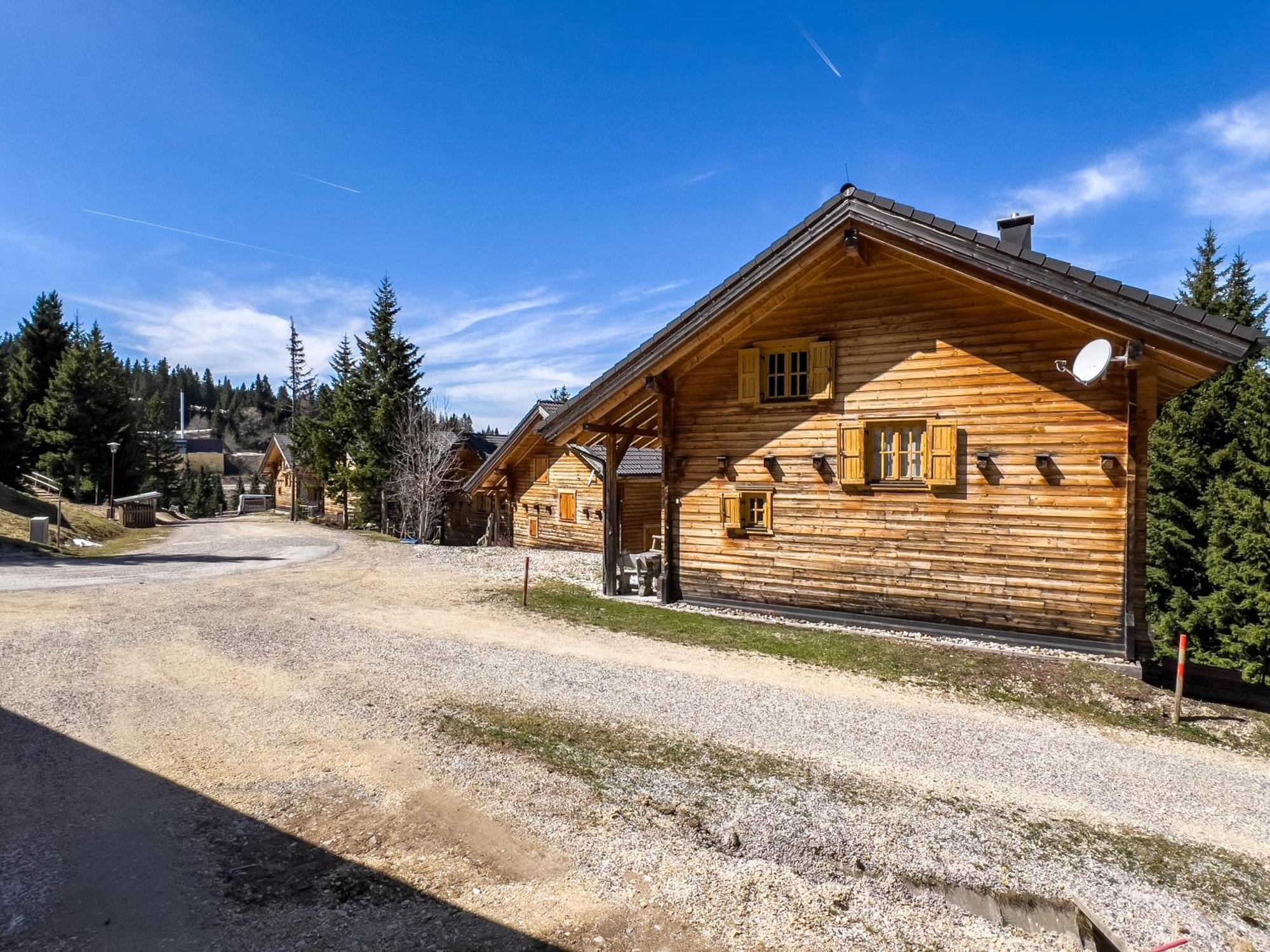 Willa 1A Chalet Enzianhuette - Ski Fahren Und Indoor Sauna Elsenbrunn Zewnętrze zdjęcie