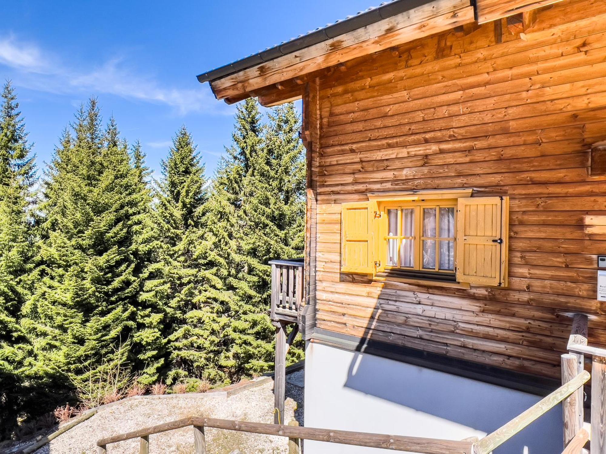 Willa 1A Chalet Enzianhuette - Ski Fahren Und Indoor Sauna Elsenbrunn Zewnętrze zdjęcie